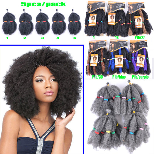 Queen Hair Series 100% Kanekalon Natural Beauty Bundle Deal 4Roots/PCS,5pcs/ Pack