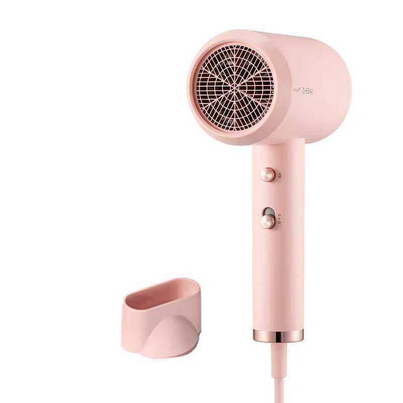 Negative Ion High-Power Quick-Drying Hair Dryer