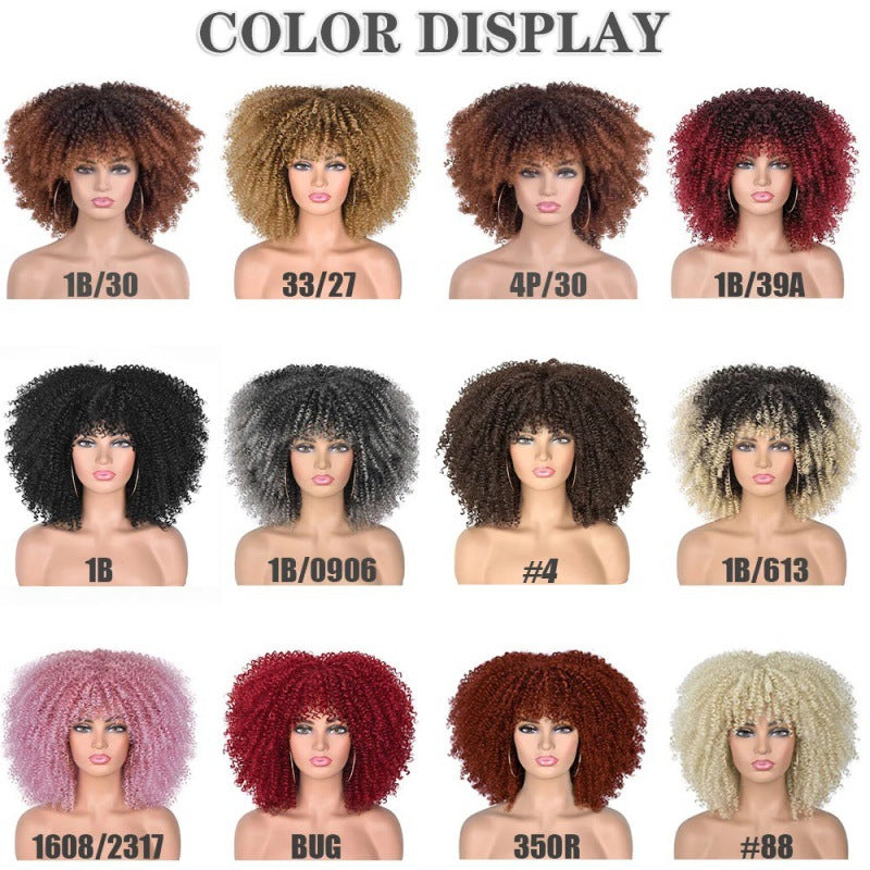African American Curly Hair Afro Wig